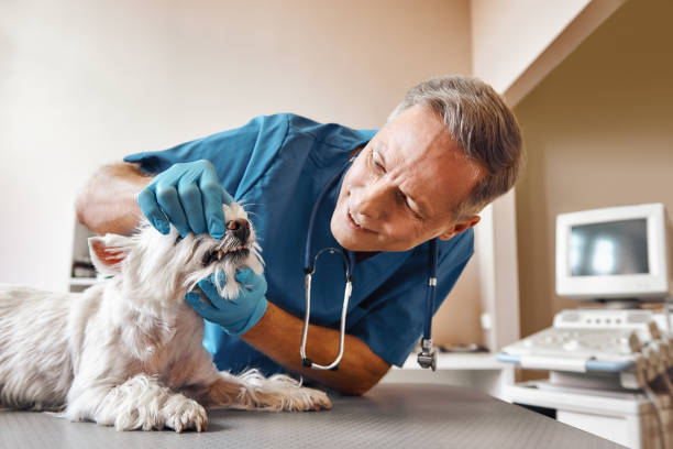 Best 24-Hour Emergency Dentist in Union, NJ